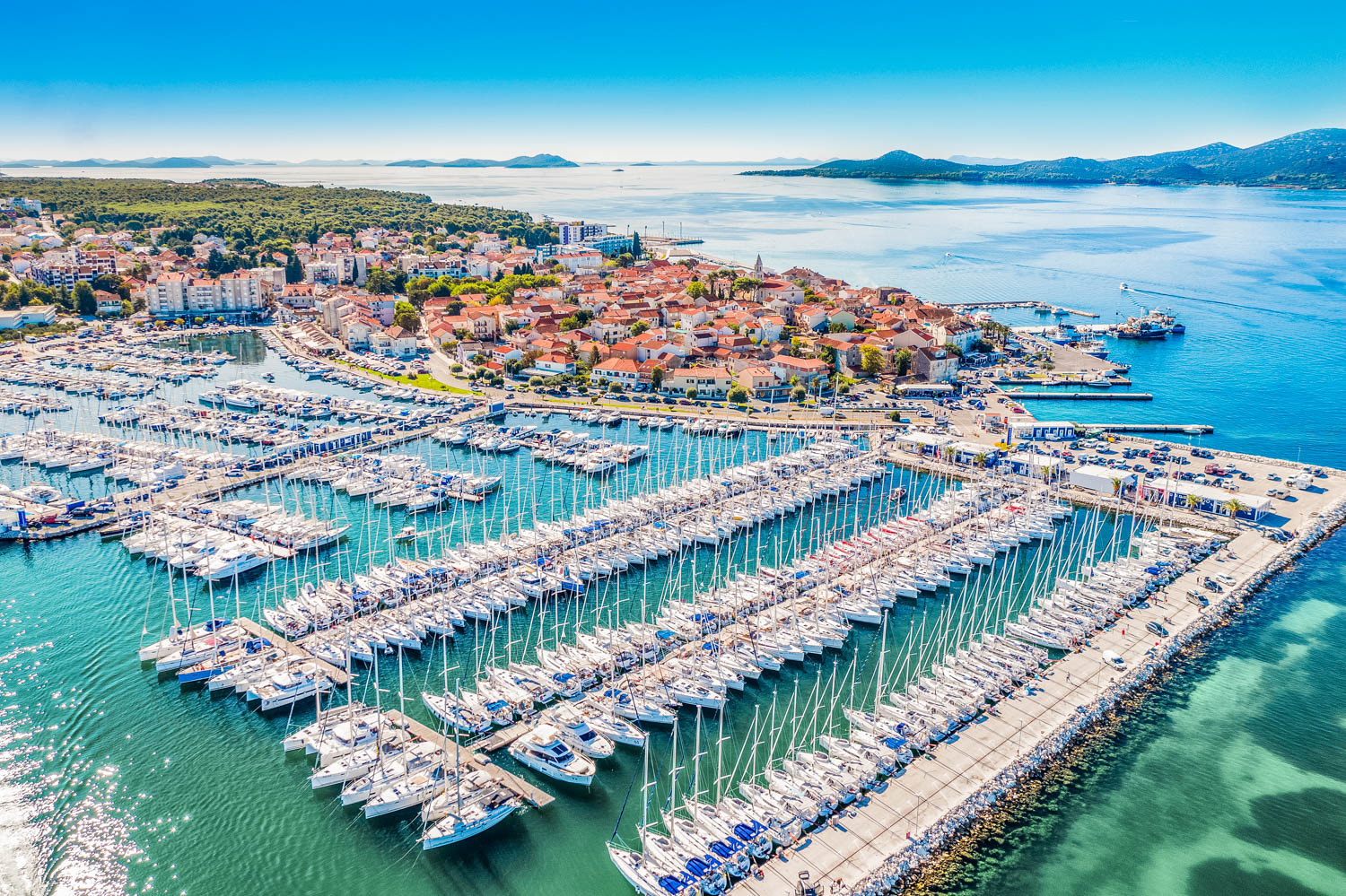 Marina Šangulin, Biograd