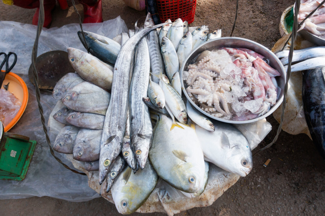 Fish at a street market in Seychelles